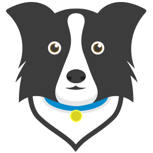 The package icon